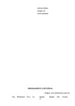 Prakses atskaite 'Aprūpes plāns', 13.