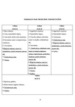 Prakses atskaite 'Aprūpes plāns', 19.