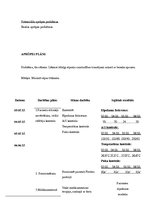 Prakses atskaite 'Aprūpes plāns', 20.