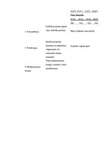 Prakses atskaite 'Aprūpes plāns', 24.