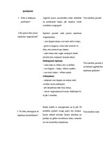 Prakses atskaite 'Aprūpes plāns', 30.