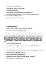 Konspekts 'Bezdarbs Latvijā', 17.