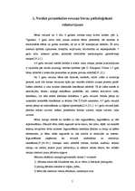 Diplomdarbs 'Mīklas kā 5-6 gadus vecu bērnu vārdu krājuma paplašināšanas un domāšanas attīstī', 5.