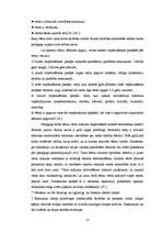 Diplomdarbs 'Mīklas kā 5-6 gadus vecu bērnu vārdu krājuma paplašināšanas un domāšanas attīstī', 17.