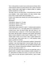 Diplomdarbs 'Mīklas kā 5-6 gadus vecu bērnu vārdu krājuma paplašināšanas un domāšanas attīstī', 41.