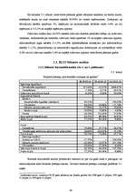 Diplomdarbs 'Finanšu vadība biedrībā "Latvijas Starptautiskā skola"', 48.