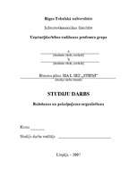 Biznesa plāns 'SIA L SEZ "Stieņi"', 1.