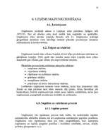 Biznesa plāns 'SIA L SEZ "Stieņi"', 18.