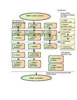 Biznesa plāns 'SIA L SEZ "Stieņi"', 36.