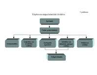 Biznesa plāns 'SIA L SEZ "Stieņi"', 37.