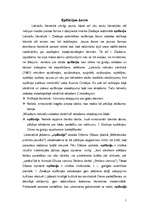 Referāts 'Epifānijas žanrs', 1.