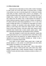 Referāts 'Klientu apkalpošanas kultūras saistība ar darbinieku motivāciju tirdzniecības uz', 12.