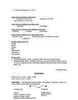 Konspekts 'Kriminālistiskā izpēte', 3.