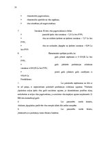 Biznesa plāns 'Mājas vīni', 28.