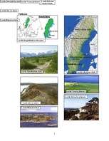 Referāts 'Zviedrijas dabas apstākļu komplekss raksturojums', 11.