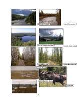 Referāts 'Zviedrijas dabas apstākļu komplekss raksturojums', 12.