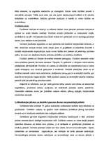 Eseja 'Starptautiskā politika un globalizācija', 3.