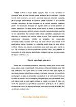 Referāts 'Saimniecisko procesu tehnoloģiskā vadīšana', 8.