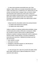 Referāts 'Saimniecisko procesu tehnoloģiskā vadīšana', 9.