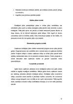 Referāts 'Saimniecisko procesu tehnoloģiskā vadīšana', 19.