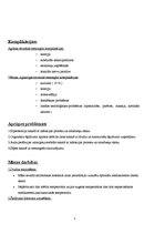 Konspekts 'Meningīts', 5.