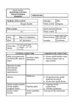 Referāts 'Sporta stundas konspekts', 1.