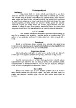 Referāts 'Dzīve dažādās Eiropas ekosistēmās', 19.