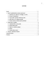 Referāts 'Biznesa plāna struktūra', 2.