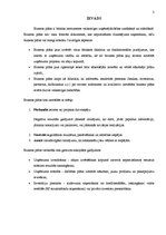 Referāts 'Biznesa plāna struktūra', 3.