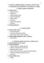 Referāts 'Biznesa plāna struktūra', 4.