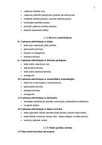 Referāts 'Biznesa plāna struktūra', 5.