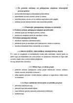 Referāts 'Biznesa plāna struktūra', 7.