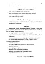 Referāts 'Biznesa plāna struktūra', 8.