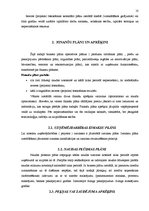 Referāts 'Biznesa plāna struktūra', 10.