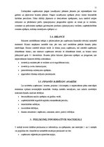 Referāts 'Biznesa plāna struktūra', 11.