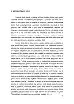 Referāts 'Latviešu literatūras interpretācija kino 20.gadsimta 60.gados', 12.