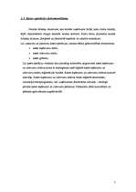 Referāts 'Skaidras naudas un kases operāciju izskaite, to atspoguļošana uzņēmuma grāmatved', 7.