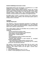 Konspekts 'Intermodālie pārvadājumi', 5.