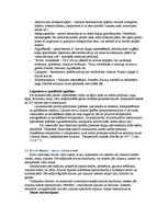 Konspekts 'Intermodālie pārvadājumi', 8.