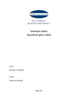 Referāts 'Industrijas analīze. Specializēts ģitāru veikals', 1.