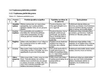 Referāts 'Industrijas analīze. Specializēts ģitāru veikals', 6.
