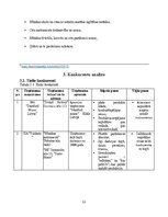 Referāts 'Industrijas analīze. Specializēts ģitāru veikals', 11.