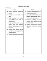 Referāts 'Industrijas analīze. Specializēts ģitāru veikals', 20.