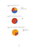 Referāts 'Industrijas analīze. Specializēts ģitāru veikals', 26.