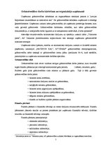 Prakses atskaite 'Prakse a/s "Valmieras piens"', 7.