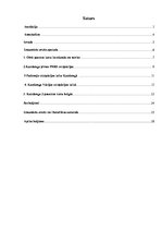 Referāts 'ZPD darbs', 2.