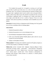 Referāts 'ZPD darbs', 5.