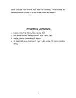 Referāts 'Ēriha Marijas Remarka "Melnais obelisks"', 9.