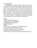 Konspekts 'Olimpiskās spēles', 2.