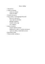 Biznesa plāns 'SIA "Burbulis"', 2.